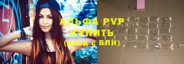стаф Алексин
