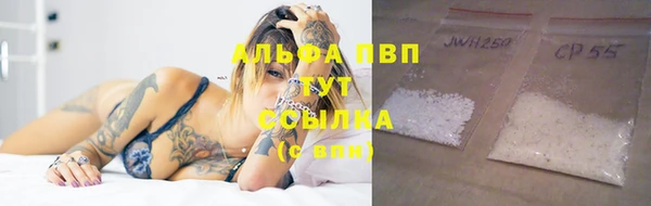 крисы Пересвет